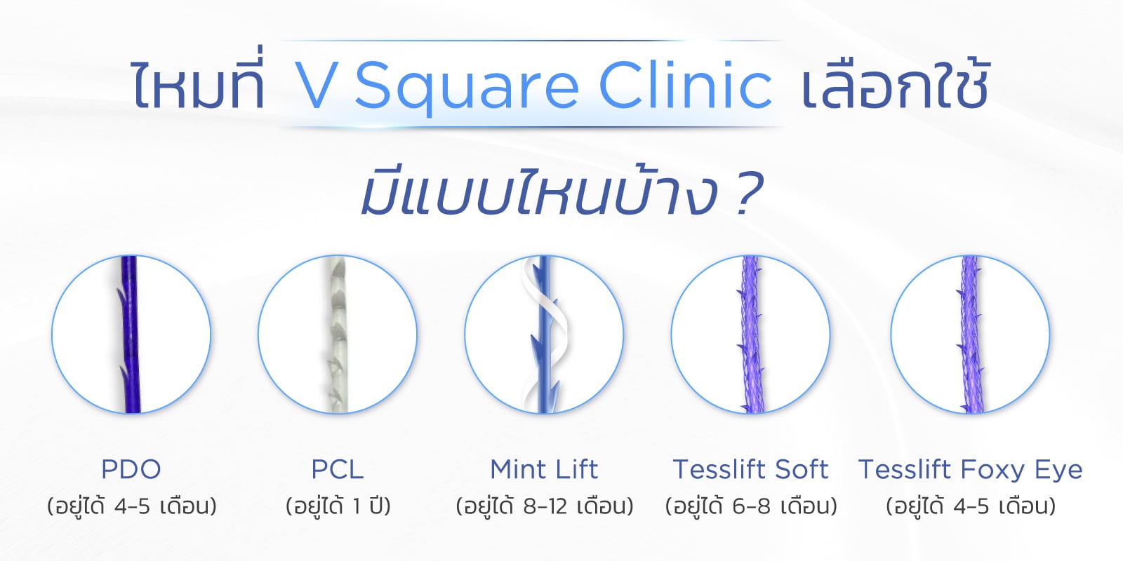 ไหมละลายมีกี่ประเภท