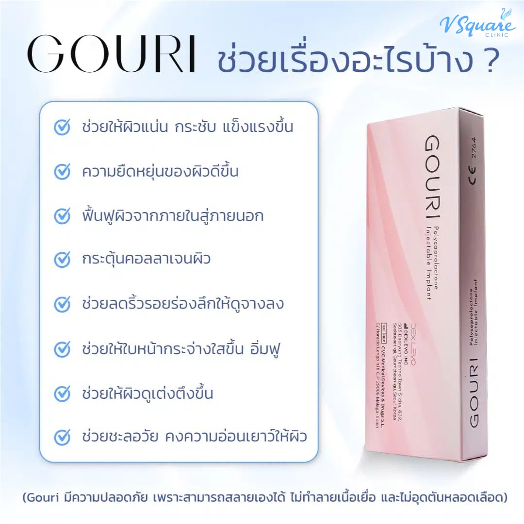 Gouri ช่วยในเรื่องอะไรบ้าง