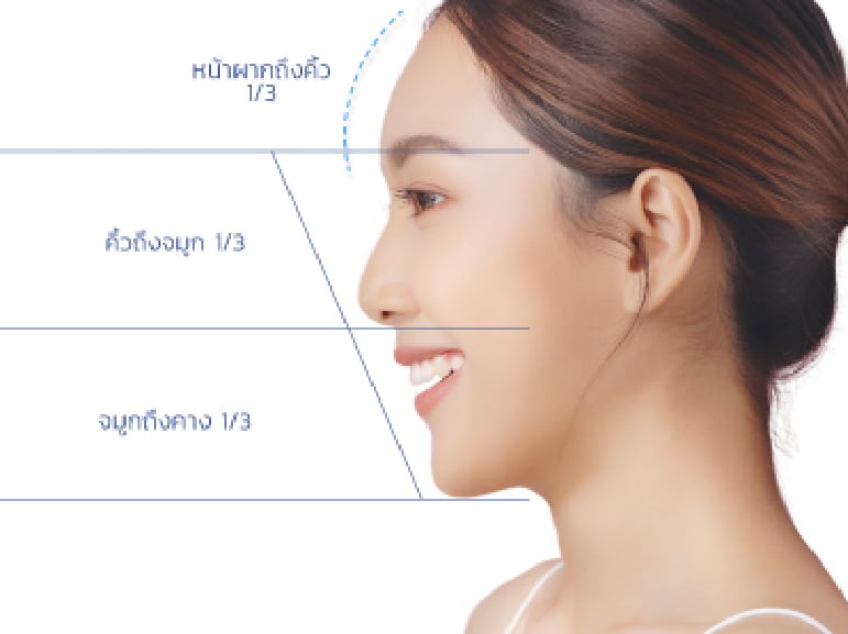 สัดส่วนใบหน้า