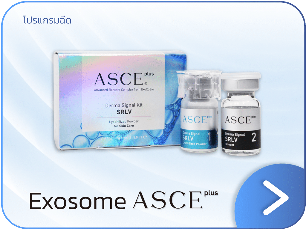 exosome คือ