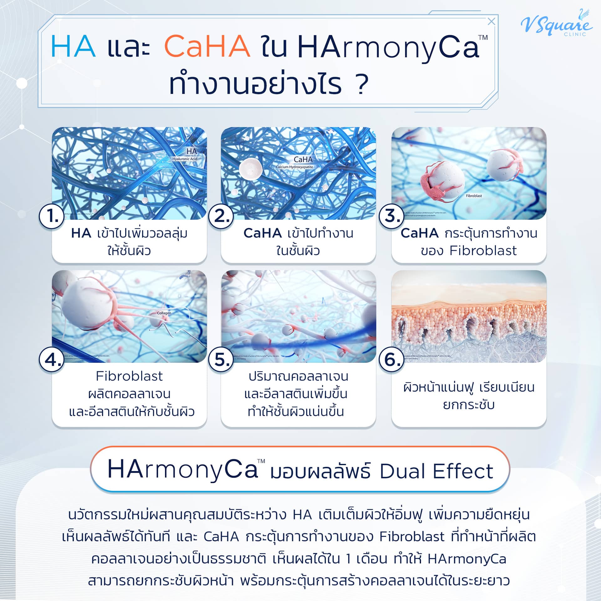 HArmonyCa ทำงานอย่างไร