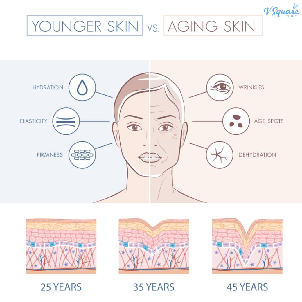 Collagen กับผิวหนัง