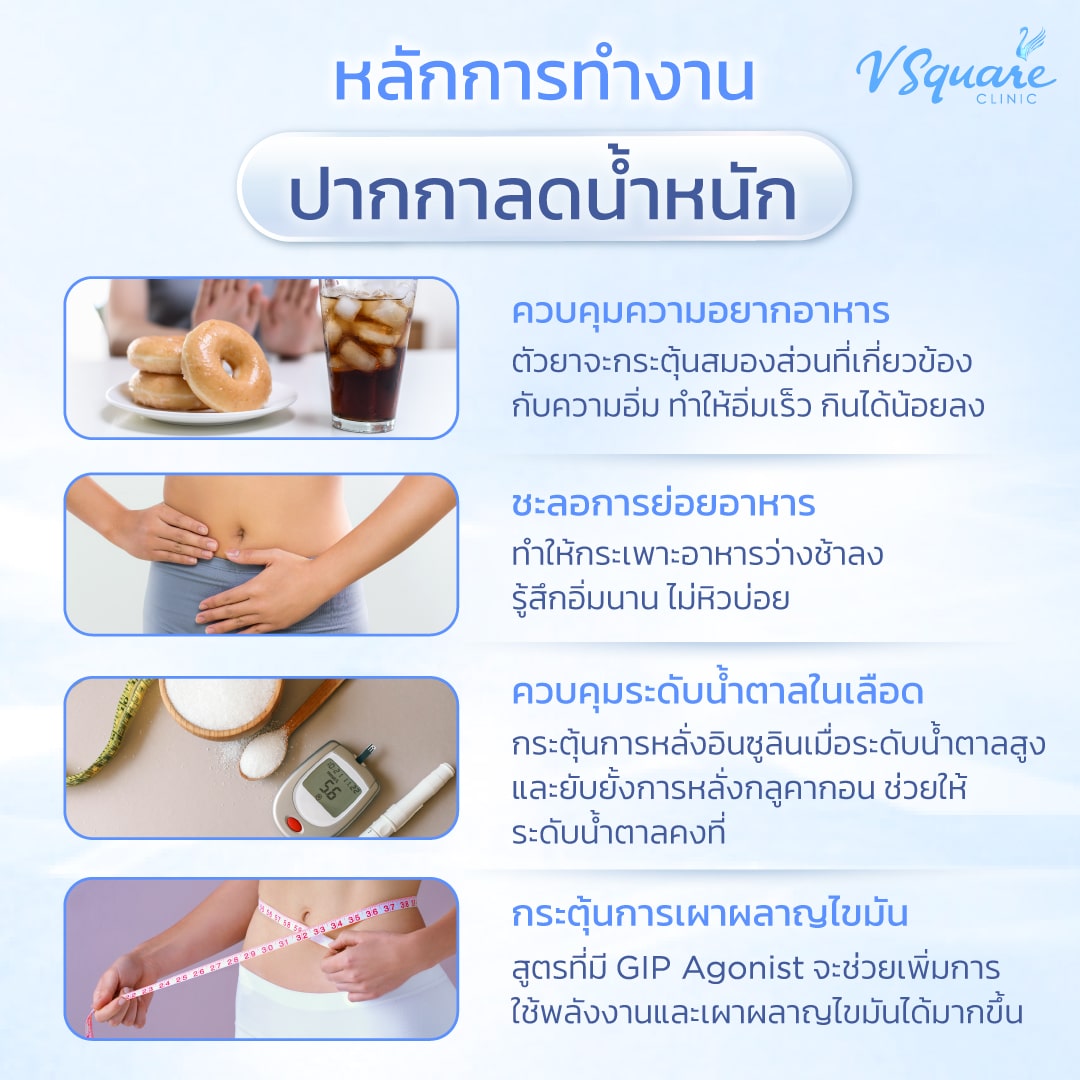 การทำงานของปากกาลดน้ำหนัก