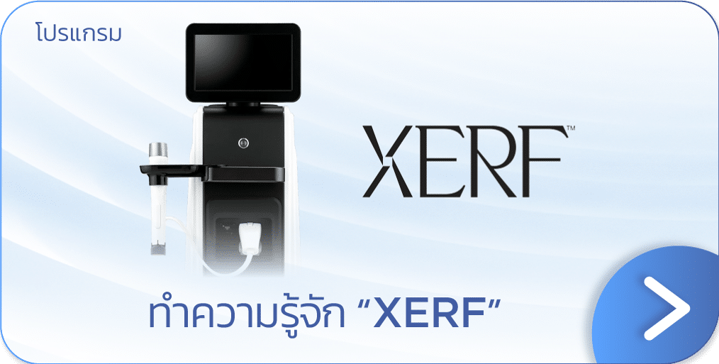 แบนเนอร์ Morpheus8