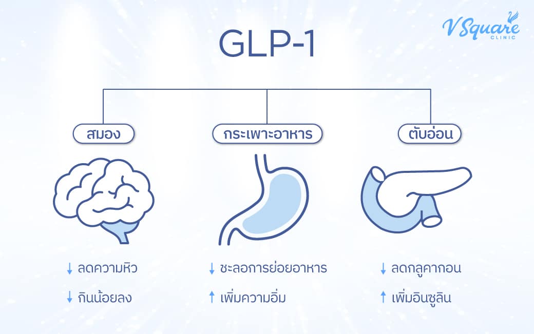 ปากกาลดน้ำหนัก คือ